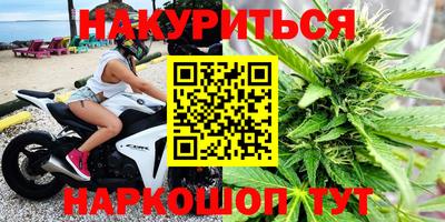 прущие грибы Мариинск