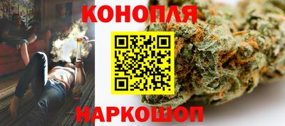 прущие грибы Мариинск