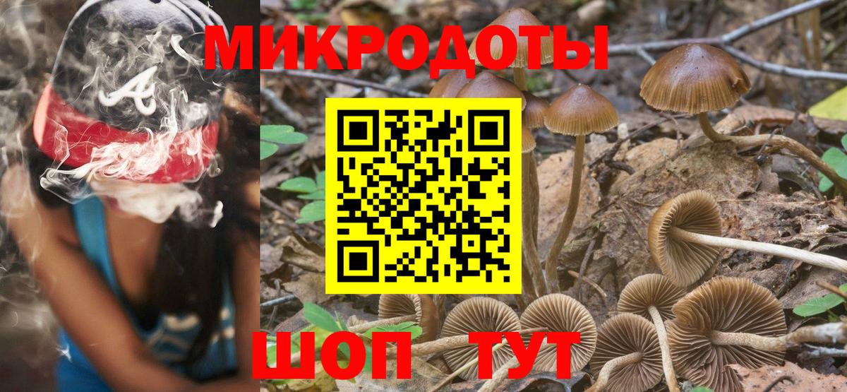 дарнет шоп  Вход с VPN  Галлюциногенные грибы мицелий  Туймазы  Галлюциногенные грибы мицелий 