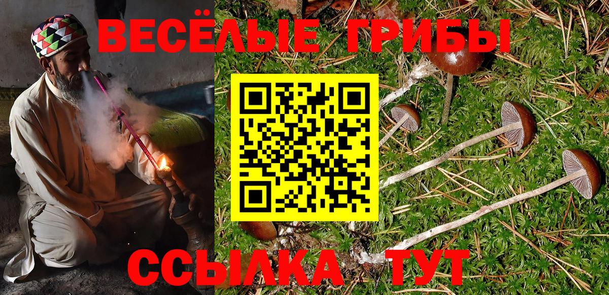 Галлюциногенные грибы GOLDEN TEACHER Туймазы